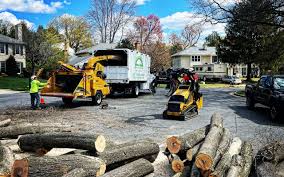 Best Hedge Trimming  in Princeton Meadows, NJ